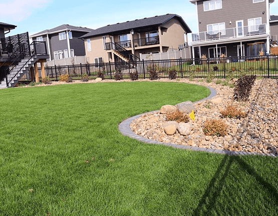 beautifully landscaped yard with sod and rock feature